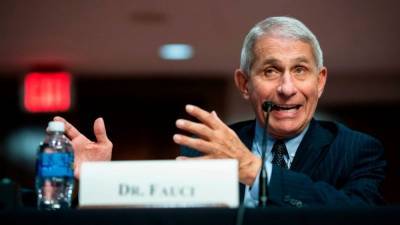 Fauci says Pfizer coronavirus vaccine likely available for high-risk cases by December - fox29.com - New York
