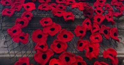 Niagara Falls - Niagara Falls museum commemorates Remembrance Day with knitted poppies - globalnews.ca - Usa - Canada - New Zealand - Denmark - county Niagara