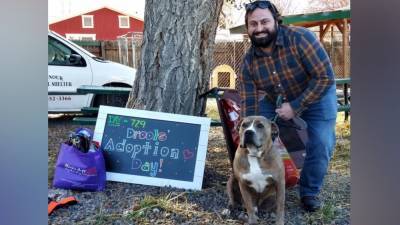 ‘Drools’ the dog finds loving home after spending 729 days in shelter - fox29.com - county Rio Grande - state Colorado