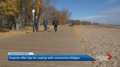 Coping with stress of pandemic, COVID-19 fatigue - globalnews.ca - county Ontario