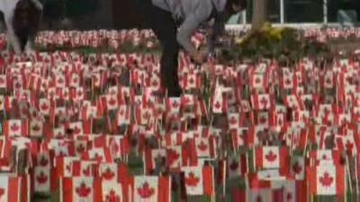 Honouring veterans from a distance during the pandemic - globalnews.ca