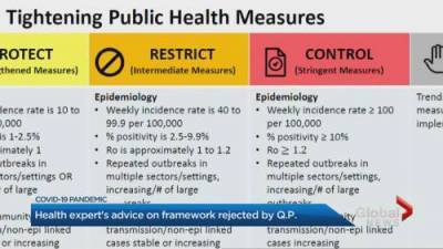 Doug Ford - Health experts’ advice rejected on Ontario coronavirus framework - globalnews.ca