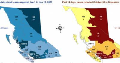 Coronavirus: Case count, positivity rate climbs in B.C.’s Southern Interior - globalnews.ca - region Health - region Okanagan