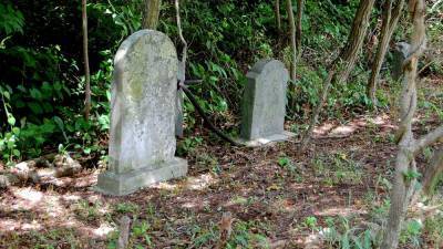 Gregory Edwards - This Florida teacher is adding Black cemeteries to history lessons - clickorlando.com - state Florida - county Orange - Greece - city Tampa, state Florida - county Hillsborough