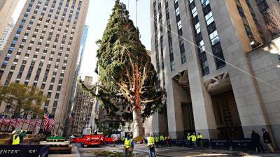 Cindy Ord - 2020 Rockefeller Center Christmas tree goes up - fox29.com - New York - city New York - Norway