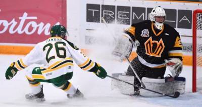 Saskatchewan Junior Hockey League leans on the community for support - globalnews.ca