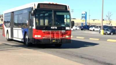 Travis Fortnum - saint John - Sunday bus service returns to streets of Saint John - globalnews.ca