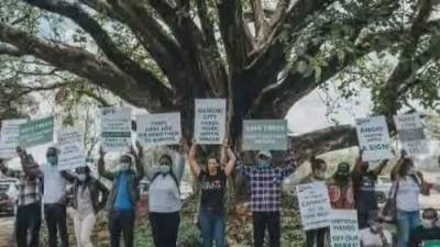 Environmental activists celebrate as Kenya spares sacred fig tree from destruction - globalnews.ca - Kenya