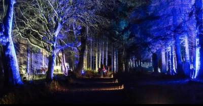 West Lothian Council warn Beecraigs Festive Forest organisers that public health and safety must come first - dailyrecord.co.uk