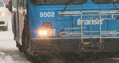 2 Saskatoon Transit employees test positive for the coronavirus - globalnews.ca
