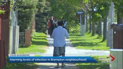 Kamil Karamali - Brampton neighbourhood tops GTA in high COVID-19 positivity rate - globalnews.ca