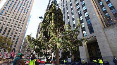 2020 Rockefeller Christmas Tree more reminiscent of 'A Charlie Brown Christmas' tree, 'stumps' social media - fox29.com - Los Angeles - state New York - Norway