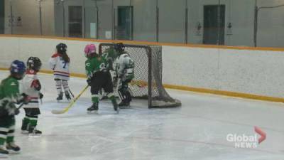 Coronavirus: Minor hockey groups facing play-or-pause dilemma as case numbers rise - globalnews.ca