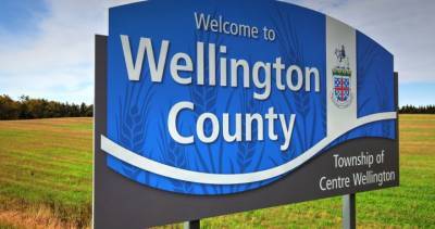 Wellington County adds 19 new COVID-19 cases as spike continues - globalnews.ca - city Wellington