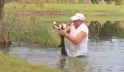 Florida man wrestles gator to save dog - clickorlando.com - state Florida - Georgia