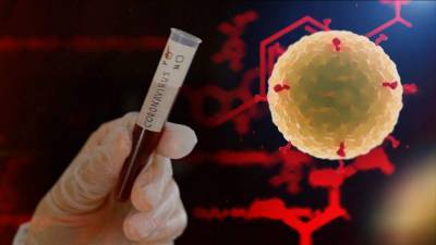 Florida health experts report more than 8,000 new coronavirus cases - clickorlando.com - state Florida