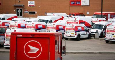 Toronto, Peel Region companies under lockdown brace for spike in online sales, delivery delays - globalnews.ca