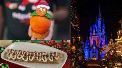 Foodie Guide: Walt Disney World shows off holiday offerings at Magic Kingdom - clickorlando.com