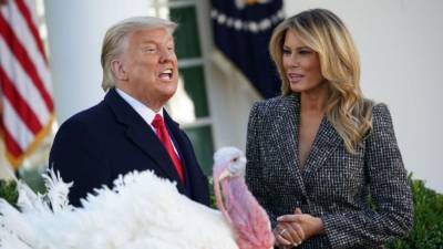 Donald Trump - Ronald Reagan - Trump pardons national Thanksgiving turkey at the White House - fox29.com - Washington - state Iowa - Turkey