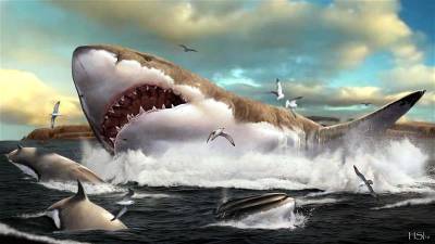 Megalodon was a megalo-mom - sciencemag.org