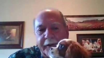 Charles Spaniel - Puppy pried from gator’s mouth by his human doing just fine - clickorlando.com - state Florida - county Lee