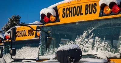 Kawartha Pine - COVID-19: Kawartha Pine Ridge District School Board to close schools on ‘snow days’ - globalnews.ca - province Covid