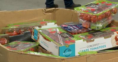 Saskatoon Food Bank remains closed after staff members test positive for COVID-19 - globalnews.ca