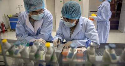 Mystery of the coronavirus origin: Experts still seeking answers - globalnews.ca - China - city Wuhan - Italy