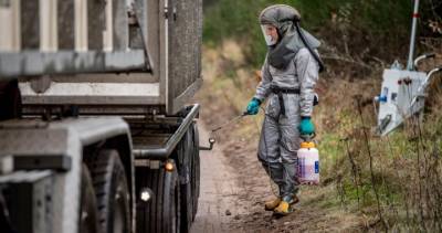Bodies of culled mink resurface after burial over coronavirus mutation in Denmark - globalnews.ca - Denmark