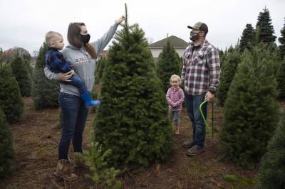 Many turn to real Christmas trees as bright spot amid virus - clickorlando.com - state Oregon - city Portland, state Oregon