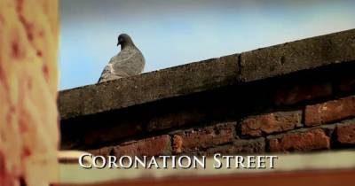 Iain Macleod - Corrie writers 'predicted' pandemic last year after pitching 'far-fetched' pigeon storyline - mirror.co.uk