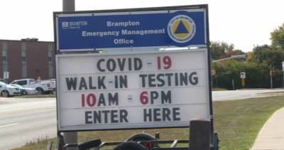 Coronavirus: Spread of COVID-19 in Brampton linked to systemic factors, experts say - globalnews.ca - county Ontario