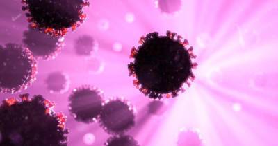 Coronavirus: Hamilton reports 61 new COVID-19 cases, 1 death - globalnews.ca - county St. Joseph