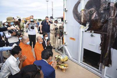 'World’s loneliest elephant' arrives safely in Cambodia - clickorlando.com - Cambodia - Pakistan - city Phnom Penh