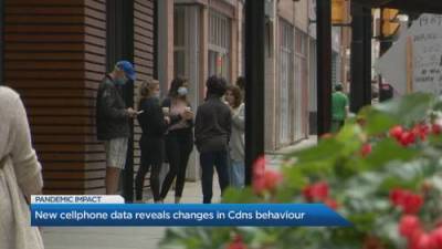 It’s been months since the COVID-19 pandemic started. How have our behaviours changed? - globalnews.ca
