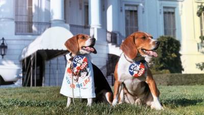 Campaign pups throughout the years: These 11 photos will make you crack a smile - clickorlando.com