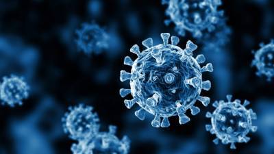Coronavirus cases linked to ‘large’ Halloween weekend gathering forces New York high school to close - foxnews.com - New York - city New York - county Rockland