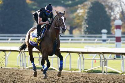 In an abnormal year, Breeders' Cup offers a bit of normalcy - clickorlando.com - state Kentucky - county Lexington