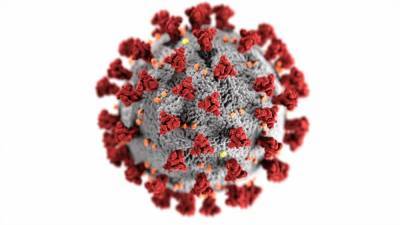 Statement on the fifth meeting of the International Health Regulations (2005) Emergency Committee regarding the coronavirus disease (COVID-19) pandemic - who.int