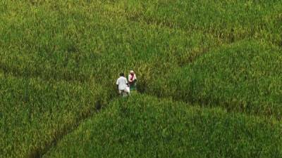 India looks to poor farmers to rescue its coronavirus-ravaged economy - livemint.com - India
