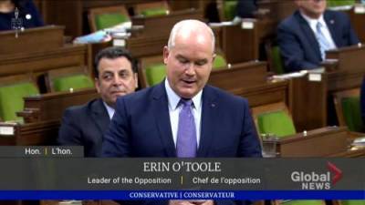 Chrystia Freeland - Erin Otoole - Coronavirus: O’Toole calls for mass rapid testing to ‘preserve’ Canada’s economy - globalnews.ca - Canada
