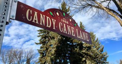 COVID-19 means no walking, no food donation bins at Edmonton’s Candy Cane Lane - globalnews.ca