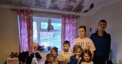 Mum-of-five fears for kids' health after years living in mouldy council house - mirror.co.uk