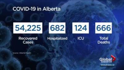 Deena Hinshaw - Julia Wong - Alberta records 1,566 new cases as Hinshaw asks for compassion over holidays - globalnews.ca