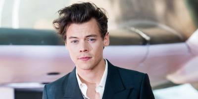 Don't Worry, Harry Styles' Pandemic Dating Life Is 'Nonexistent,' Too - elle.com - state Covid