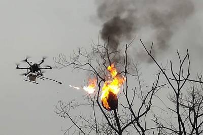 Flamethrower drone incinerates wasp nests in China - clickorlando.com - China - city Beijing - city Chongqing