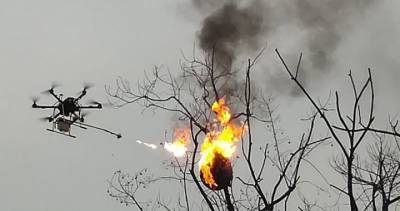 Volunteers use flying flamethrower drone to incinerate wasp nests in China - globalnews.ca - China - Usa