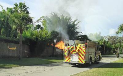 Fire inside Wild Florida animal enclosure kills one snake - clickorlando.com - state Florida - county Osceola