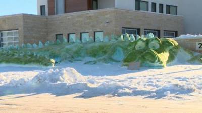 Giant green snow dragon created in Greenbryre area, two dragons in Saskatoon - globalnews.ca