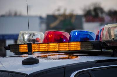 Human remains found near International Speedway Boulevard in DeLand, police say - clickorlando.com - Usa